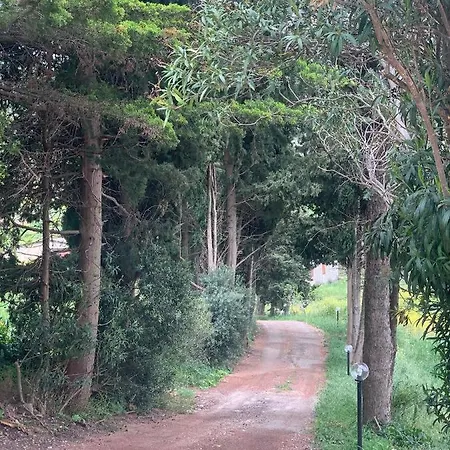 Azienda Agricola La Torre * Corleone