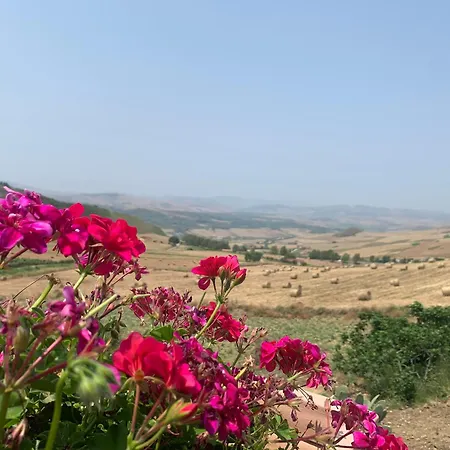 Azienda Agricola La Torre
