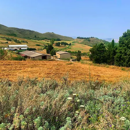 Azienda Agricola La Torre